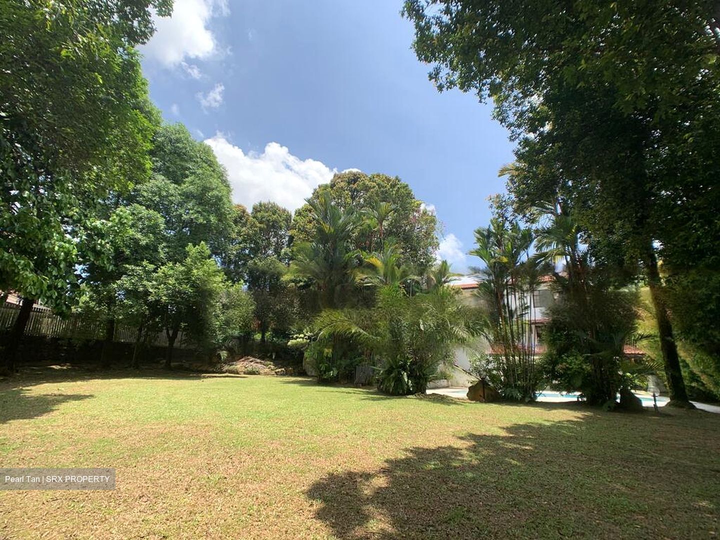 King Albert Park (D21), Detached #460719211